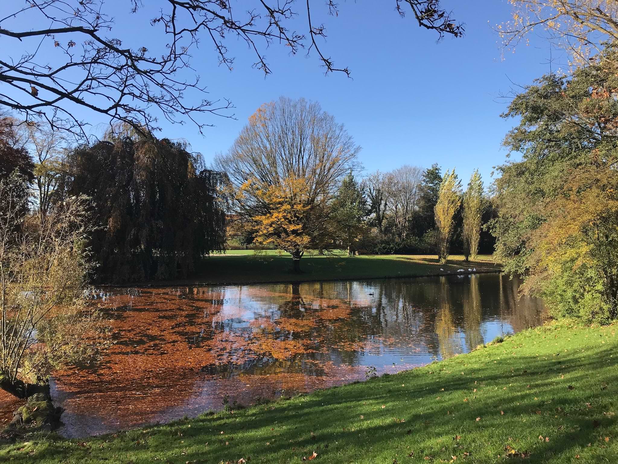Synchronisierte Vorlage einfügen