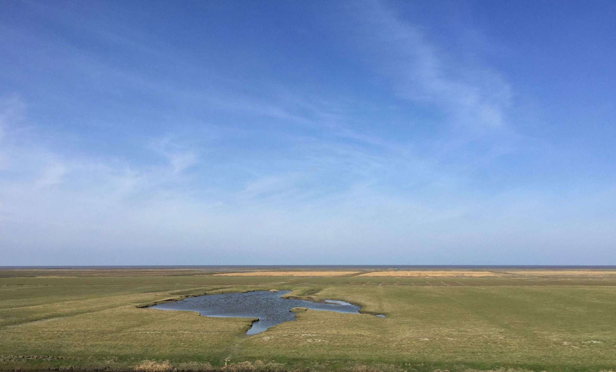 Blick auf die Nordseeküste (Groningen - Noordpolderzijl)